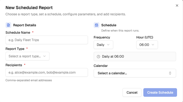 Initial New Scheduled Report form